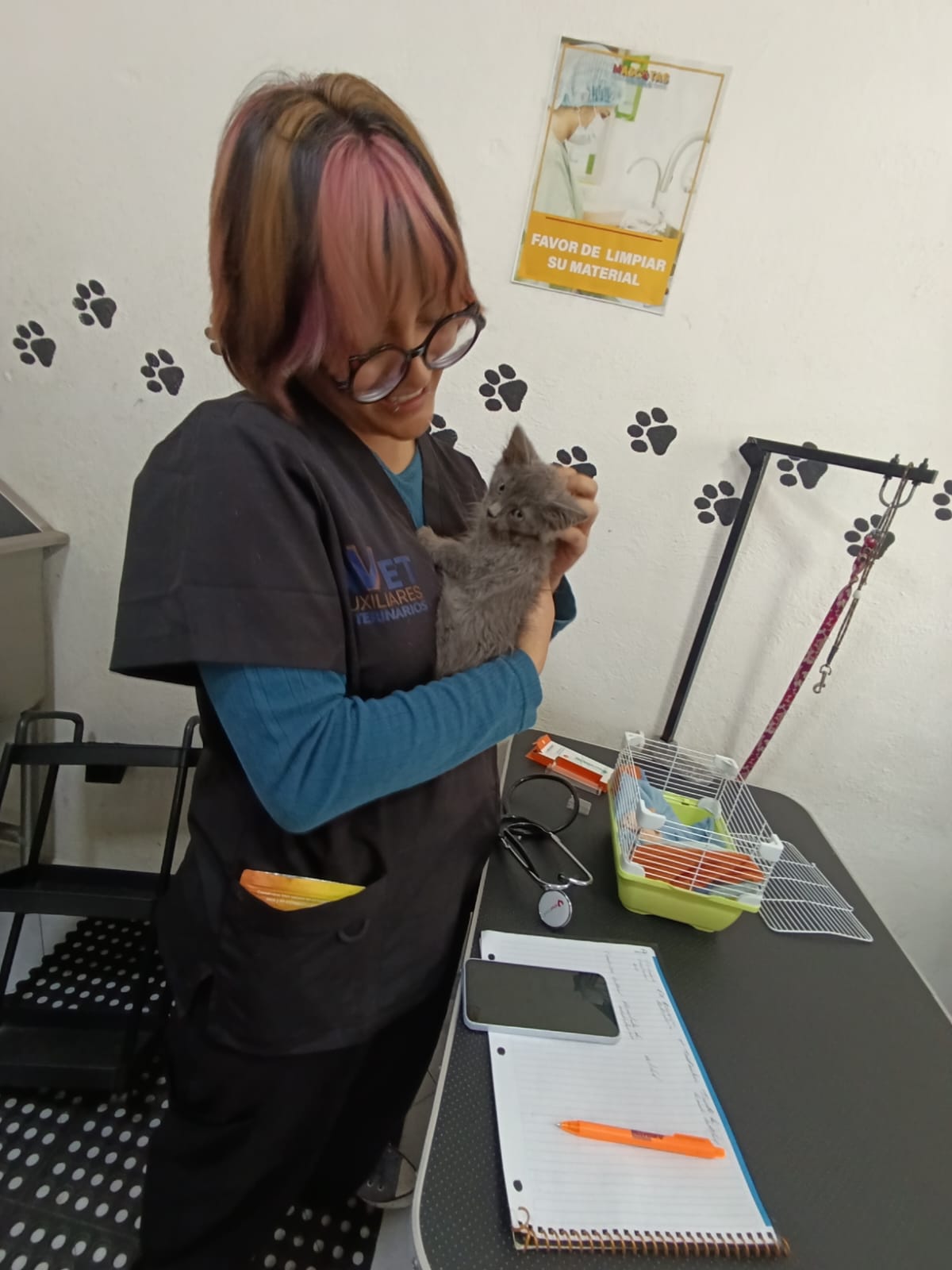 Práctica con felinos