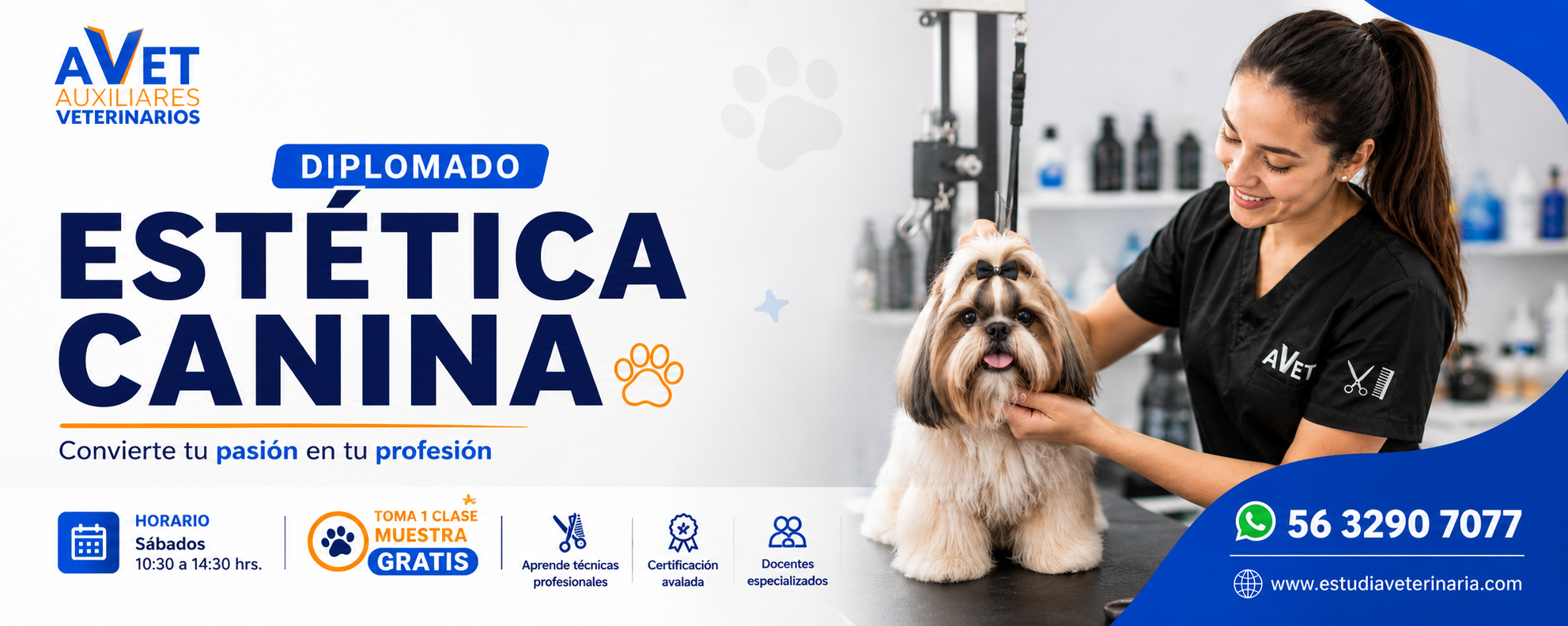 Diplomado Estética Canina