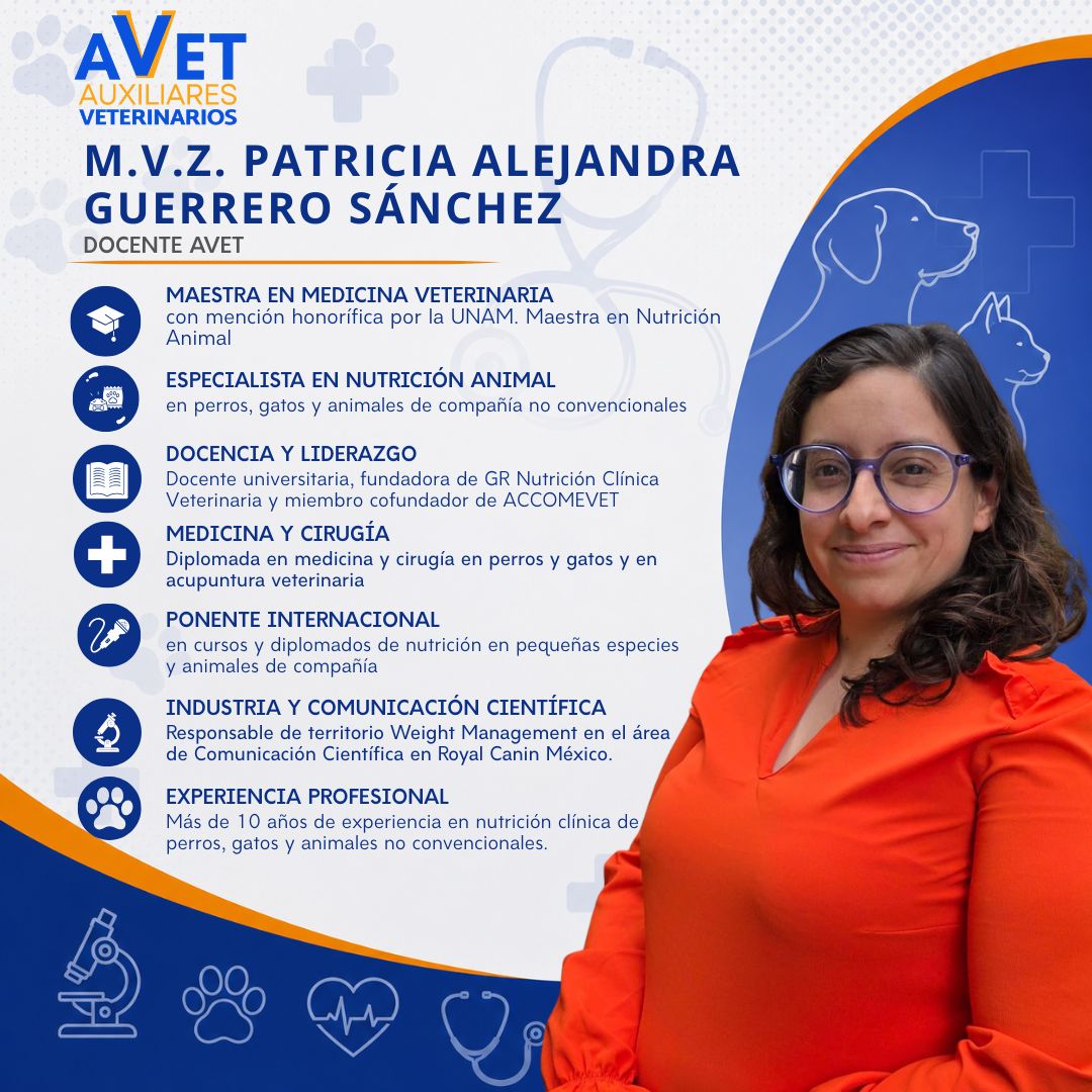 M.V.Z. Patricia Alejandra Guerrero Sánchez