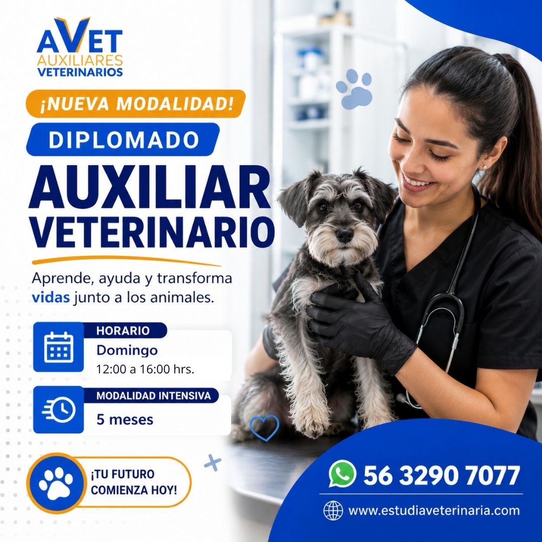 Diplomado Auxiliar Veterinario en 10 meses