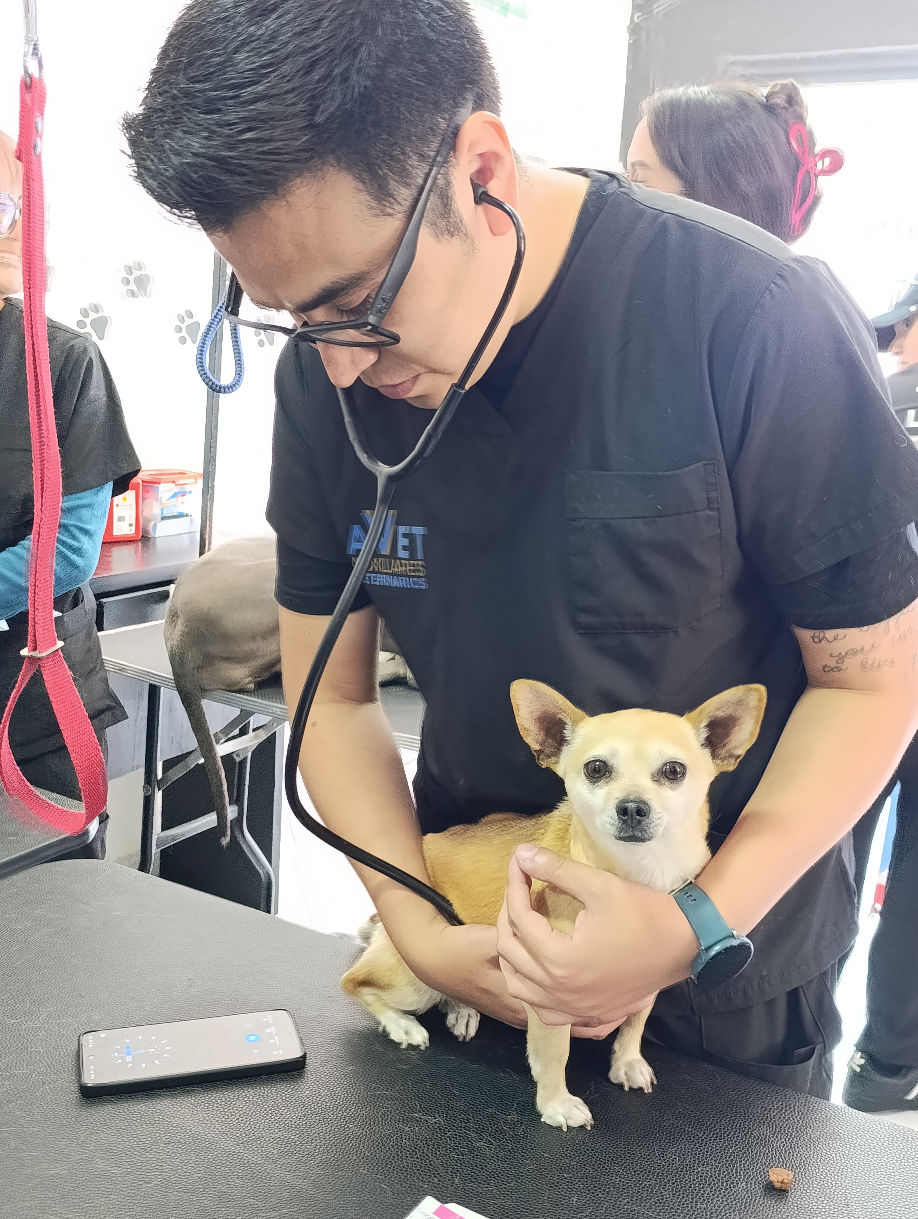 Práctica con animales AVET